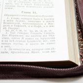 Библия Геце. ZL (коричн. лак, переплет из телячей кожи, выделка под «крокодил», ручная работа, №9)